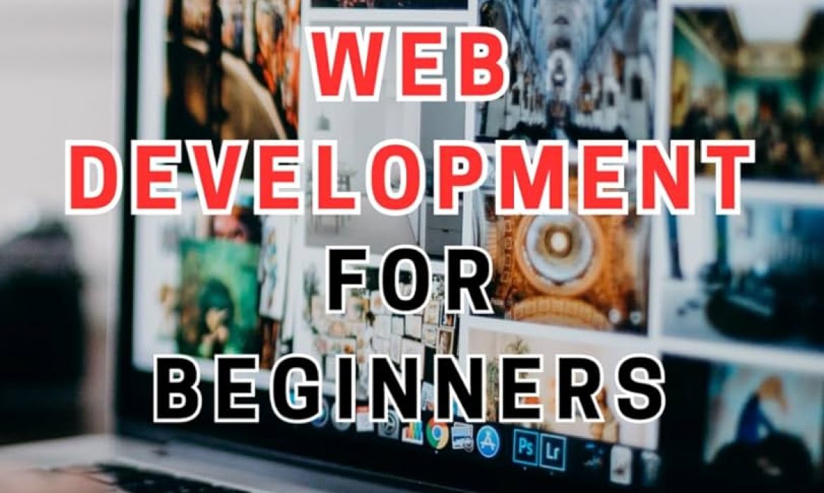 Essential Guide for Beginners: Navigating the World of Online Website Design
